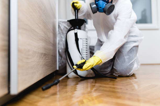 Best Flea Control Services  in Wolverine Lake, MI