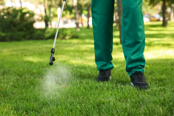 Best Residential Pest Control  in Wolverine Lake, MI