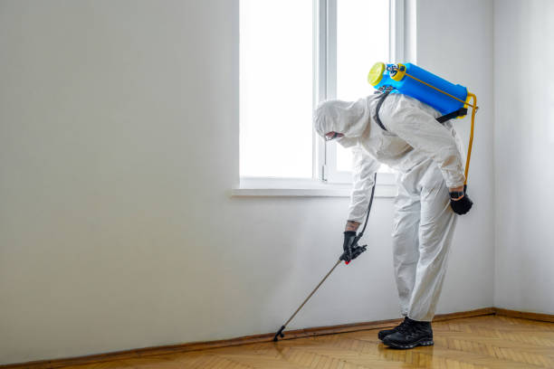 Best Wasp Removal Services  in Wolverine Lake, MI