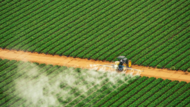 Best Pest Removal Services  in Wolverine Lake, MI