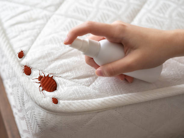 Best Pest Control Treatment  in Wolverine Lake, MI