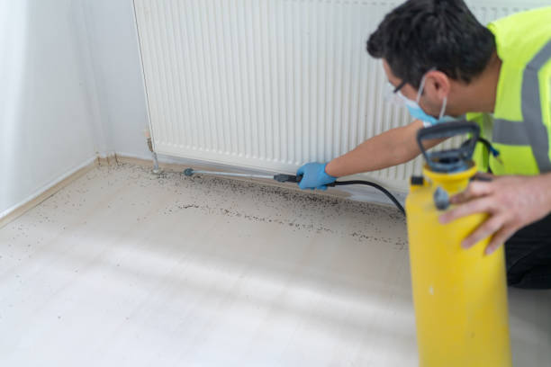 Best Emergency Pest Control  in Wolverine Lake, MI