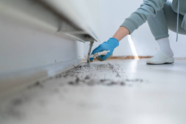 Best Pest Inspection Near Me  in Wolverine Lake, MI